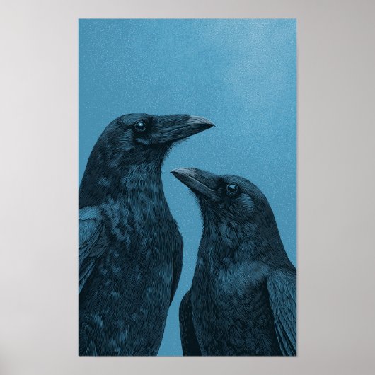 Ein Paar Krähen auf blauem Hintergrund Poster (Vorne)
