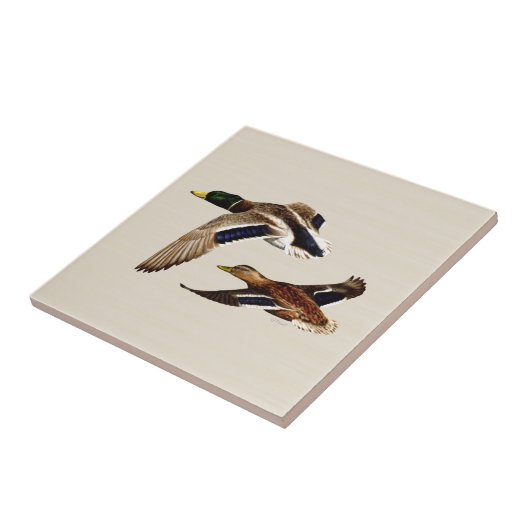 Ein Paar Mallard-Enten Fliese (Seite)