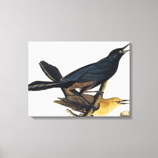 Ein Paar mit dem Sattelschnabel Leinwanddruck (Vorderseite)