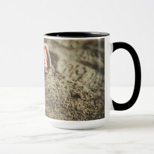 Ein Paar moderne Sonnenbrille auf dem Strand Tasse