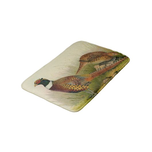 Ein Paar necked Fasane des Ringes auf einem Badematte (Schrägansicht)