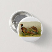 Ein Paar necked Fasane des Ringes auf einem Button (Vorne & Hinten)
