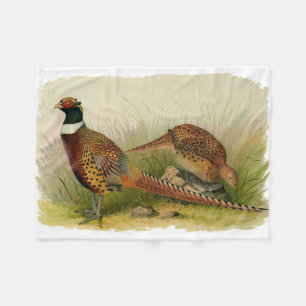 Ein Paar necked Fasane des Ringes auf einem Fleecedecke