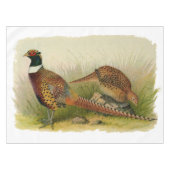 Ein Paar necked Fasane des Ringes auf einem Tischdecke (Vorderseite (Horizontal))