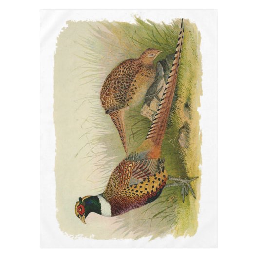 Ein Paar necked Fasane des Ringes auf einem Tischdecke (Vorderseite)