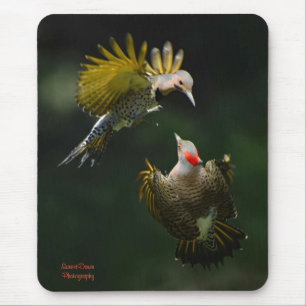 Ein Paar nördlicher Flicker Mousepad