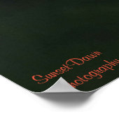 Ein Paar nördlicher Flickers-Poster Poster (Ecke)