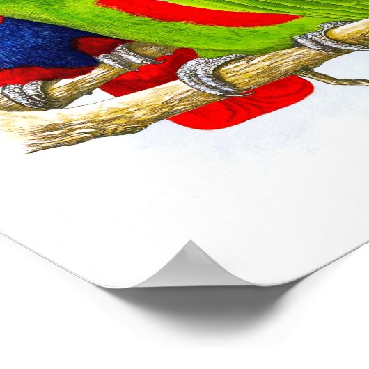 Ein Paar Parrots No.5 Antique Bird Repro Print Poster (Ecke)