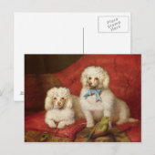 Ein Paar Pudel Postkarte (Vorne/Hinten)