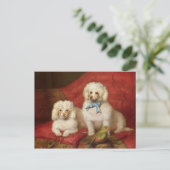 Ein Paar Pudel Postkarte (Stehend Vorderseite)
