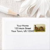 Ein Paar Ring mit halshaltigem Fasan in einem Gras (Insitu)