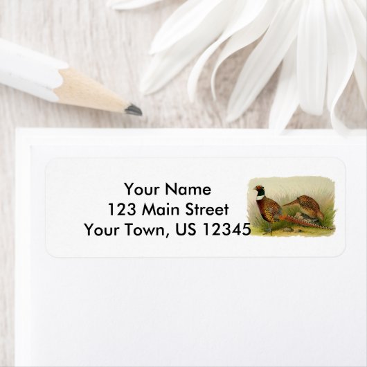 Ein Paar Ring mit halshaltigem Fasan in einem Gras (Insitu)