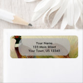 Ein Paar Ring mit halshaltigem Fasan in einem Gras (Insitu)