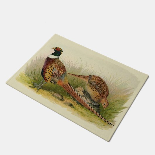 Ein Paar Ring mit halshaltigem Fasan in einem Gras Fußmatte (Schrägansicht)