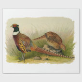 Ein Paar Ring mit halshaltigem Fasan in einem Gras Geschenkpapier (Flach)