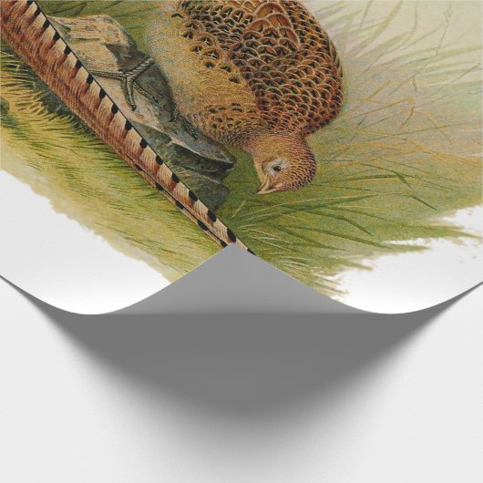 Ein Paar Ring mit halshaltigem Fasan in einem Gras Geschenkpapier (Ecke)