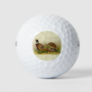 Ein Paar Ring mit halshaltigem Fasan in einem Gras Golfball