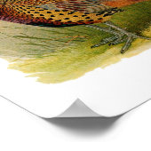 Ein Paar Ring mit halshaltigem Fasan in einem Gras Poster (Ecke)