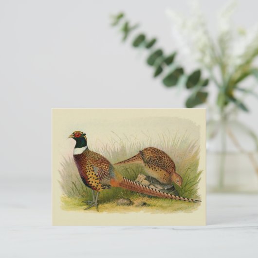 Ein Paar Ring mit halshaltigem Fasan in einem Gras Postkarte (Stehend Vorderseite)
