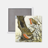 Ein Paar Robins Magnet (Vorderseite/Rückseite)