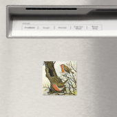 Ein Paar Robins Magnet (In Situ (Geschirrspüler))