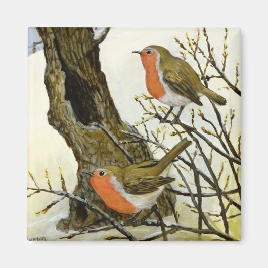 Ein Paar Robins Magnet (Vorne)