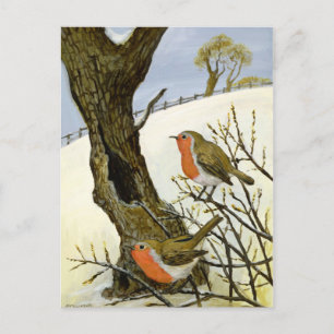 Ein Paar Robins Postkarte