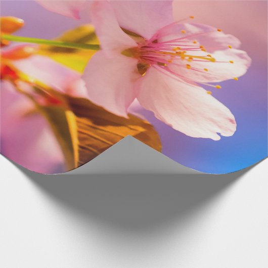 Ein paar Sakura-Blume Geschenkpapier (Ecke)