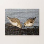 Ein Paar Sanderlings Shares Puzzle (Horizontal)