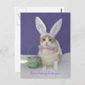 Ein paar sonnige Lieben. Postkarte (Vorne/Hinten)