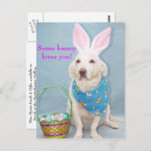 Ein paar sonnige Lieben! Postkarte (Vorne/Hinten)