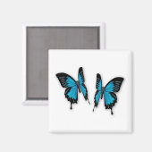 Ein Paar tropisch blauer Schmetterlinge Magnet (Vorderseite/Rückseite)