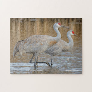 Ein Paar Wading Greater Sandhill Cranes Puzzle