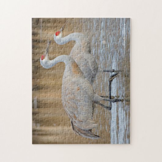 Ein Paar Wading Greater Sandhill Cranes Puzzle (Vertikal)