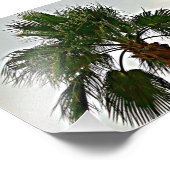 Ein Palm Tree Foto drucken (Ecke)