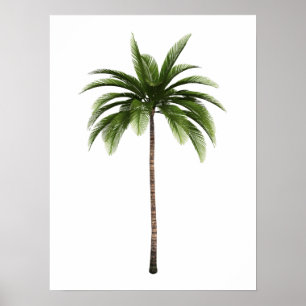 Ein Palm Tree Tropical Beach Island Art Simple Fun Poster