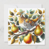 Ein Partridge in einem Birnbaum Weihnachten (Vorderseite)