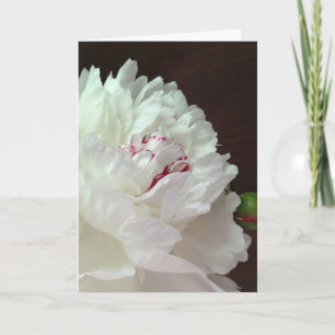 Ein Peony für Ihre Gedanken leere Note Card
