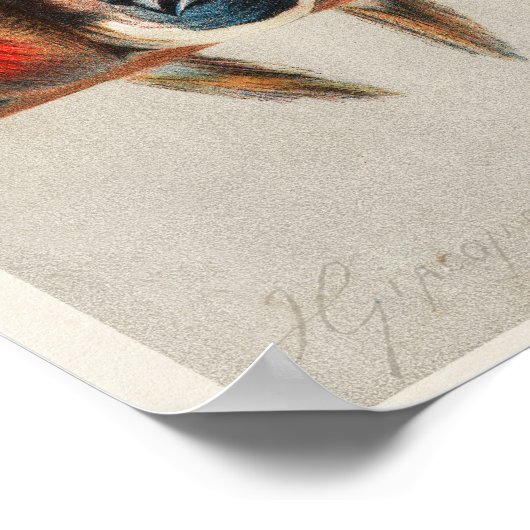 Ein Perch des Vogelremix Poster (Ecke)