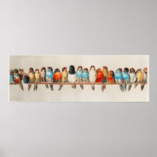 Ein Perch des Vogelremix Poster (Vorne)