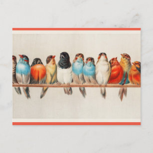 Ein Perch von Vögeln Postkarte