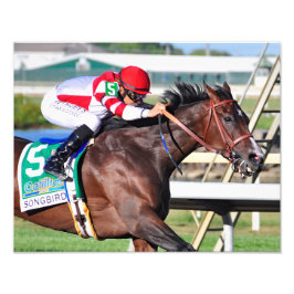 Ein perfekter Song Fotodruck