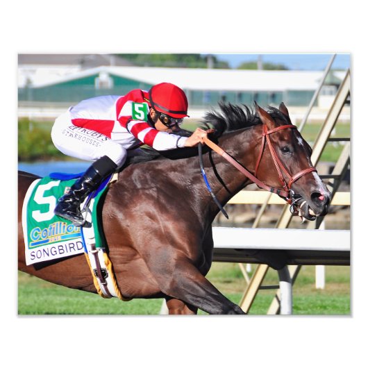 Ein perfekter Song Fotodruck (Vorne)