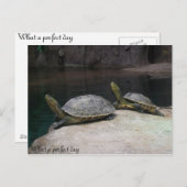 Ein perfekter Tag Postkarte (Vorne/Hinten)