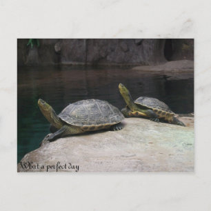 Ein perfekter Tag Postkarte