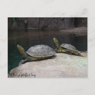 Ein perfekter Tag Postkarte