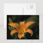 Ein perfektes Wochenende in Locarno Postkarte (Vorne/Hinten)