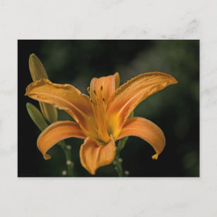 Ein perfektes Wochenende in Locarno Postkarte