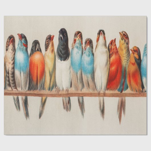 Ein Perk von Vögeln Geschenkpapier (Flach)