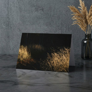 Ein Pfad durch einen Wald mit goldenem Gras im Son Karte